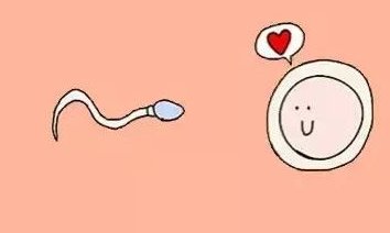 泰国第三代试管婴儿一共多少钱？