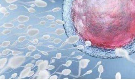 孕妇无创DNA检测补助政策解读，符合条件可申请