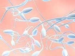 染色体易位在内蒙古包钢医院可以做三代试管吗？染色体平衡易位还能生健康的宝宝吗？